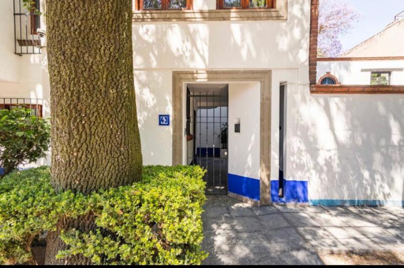 Siete Puertas Coyoacan Meksika Dış mekan fotoğraf